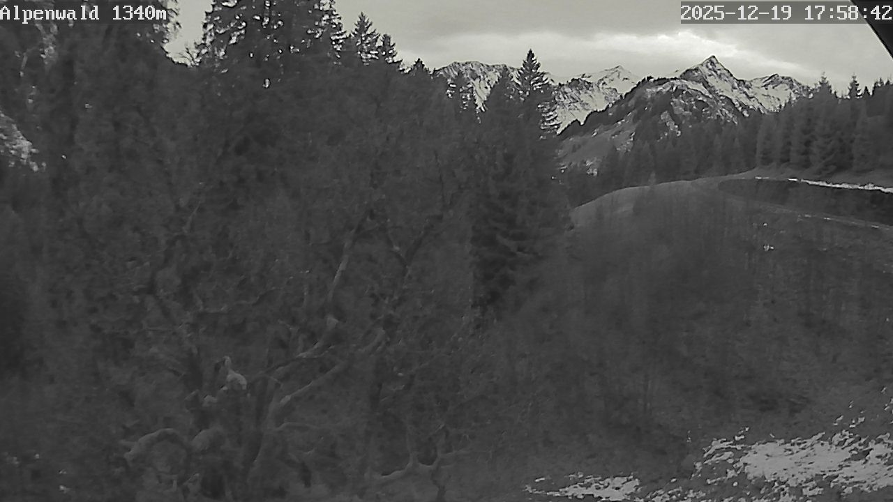 Bild: Gasthof Alpenwald